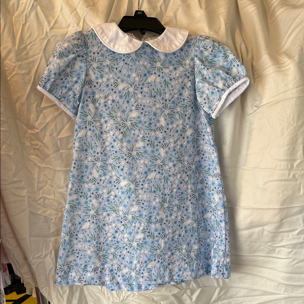 Floral Peter Pan Collar Dress